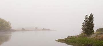 Privacy & Disclosures